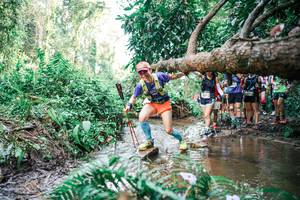 BIB: 
                            <button type="button" onclick="openModal(25516418)" class="btn btn-primary btn-sm float-right btn-popup" data-toggle="modal" data-target=".modal-high-quality">
                        <i class="fas fa-shopping-cart"></i> Add to Cart
                    </button>
                                            <button type="button" onclick="isThisMe(25516418, true)" class="btn btn-success btn-sm float-right btn-popup btn-isme hidden" data-toggle="tooltip" data-placement="bottom" title="นี่คือรูปของคุณใช่ไหม คลิกที่นี่เพื่อเอาเข้าอัลบั้ม">
                        <i class="fas fa-plus"></i> Add to album
                    </button>
                    <button type="button" onclick="isThisMe(25516418, false)" class="btn btn-warning btn-sm float-right btn-popup btn-isnotme hidden">
                        <i class="fas fa-ban"></i> Remove from album
                    </button>